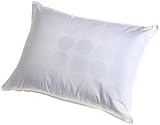 Carpenter Studio Style Bed Pillow
