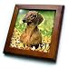 Smooth Dachshund - 8x8 Framed Tile
