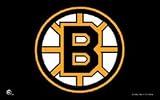 Boston Bruins NHL 3