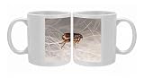 Photo Mugs of SPH-116 CAT FLEA - crawling in cat fur from Ardea Wildlife Pets