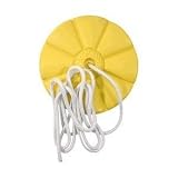 Disc Seat Swing
