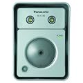 Panasonic BL-C160A Outdoor Lighted MPEG-4 Network Camera (Silver)