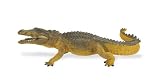 Wild Wild Life Safari: Crocodile 31igMU6r8gL. SL160 Wild Wild Life Safari: Crocodile