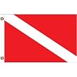 SKIN DIVER Message Flag 12in x 18in