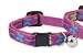 Wing It - Lupine Adjustable Safety Collars for Cats with Bell - 1/2 in. x 8 in. - 12 in.