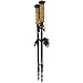 Swiss Gear Lighted Hiking Pole, 2 Pack