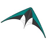 DC Nylon Sport Kite - Teal