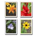 Flower Card Set