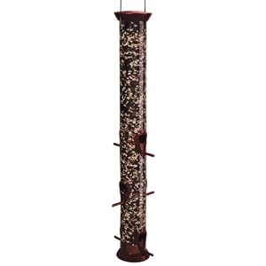 Droll Yankees CJM23B 23-Inch Burgundy New Generation Sunflower Tube Feeder by 