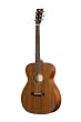 Breedlove Passport OM/Mme Guitar