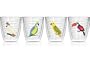 Tervis Tumbler Assorted Exotic Birds 12-Ounce Double Wall Insulated Tumbler, Set of 4