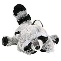 Webkinz Raccoon
