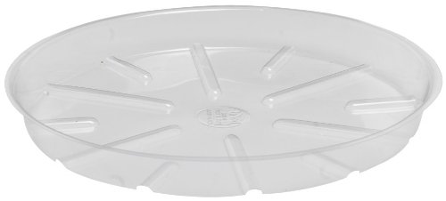 Bond Clear Plastic Saucers - 14 Inches - 25 Pack