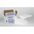 19" x 12" x 12 1/2" Insulated Container&yuml; (261C) Category: Shipping and Moving Boxes