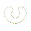 14k Yellow Gold Saltwater Cultured Akoya Pearl AA Grade 7-7.5mm Necklace, 18"
