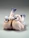 Giuseppe Armani Figurine Two Tomtits 7882-P