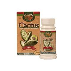 Cactus Nopal Pills by Malabar - For Diabetes and Weight Loss - 100 capsules