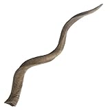 IMAGE OF Lazy Susan Blonde Curved Kudu Horn