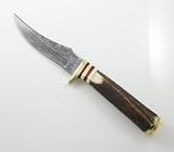 Damascus Slim Blade Skinner Stag Handles
