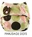 Blueberry Minky One Size Pocket Diapers - Snaps - Pink/Sage Dot