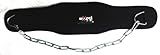Aasta Weight Lifting Dipping Belt Exercise and Fitness Accessories Adjustable Size