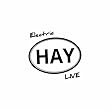 Electric Hay Live