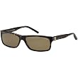 Tommy Hilfiger 1003/S Men's Sports Sunglasses - Dark Havana/Gold/Brown