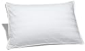 Pinzon Pyrenees Down Support Queen Pillow