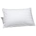 Pinzon Pyrenees Down Support Queen Pillow