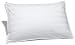 Pinzon Pyrenees Down Support Queen Pillow