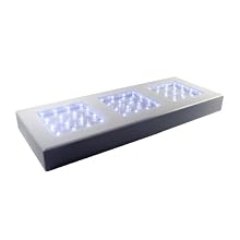 Fortune Products LB-513w Rectangle Light Base with White LED's, 13" Length x 5" Width x 1-1/4" Height