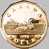 Loonie Canadians love the Gold-coloured Bronze-plated One-dollar Coin Common Loon and of Queen Elizabeth II