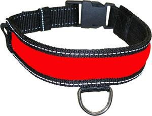 Lighted Dog Collar, Small (12