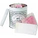 MTL Polishing Cloth Kit