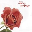 Salsa de Amor