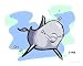 Bubbles the Dolphin Emerging Artists Photographic Poster Print by Jason Blackburn, 10...