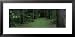 Trees in a Forest, Yaddo Gardens, Saratoga Springs, New York, USA Framed Art Poster Print by Panoramic Images, 31x15