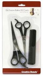 2 Piece Stainless Steel Barber's Scissors and Comb Hair Cutting Set
