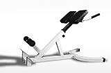 45 Degree Hyperextension Roman Chair Ab Bench Gym Fitness Work Out Machine