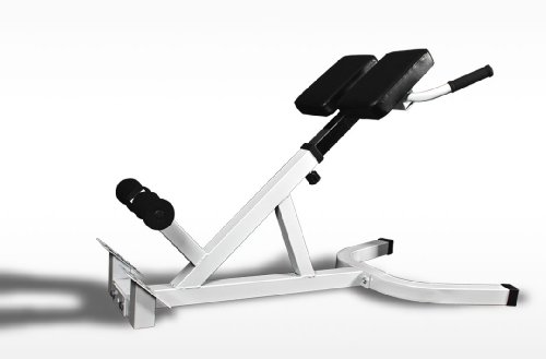 45 Degree Hyperextension Roman Chair Ab Bench Gym Fitness Work Out Machine