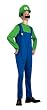 Teen Luigi Costume - Teen