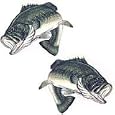 Largemouth Bass Decals