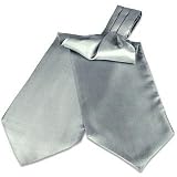 Forzieri Solid Silk Ascot