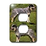 Dogs Australian Cattle - Australian Cattle Dog - Light Switch Covers - 2 plug outlet cover