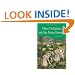 The Children of the New Forest (Wordsworth Children's Classics)
