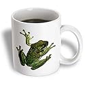 Frogs - Green Frog - Mugs