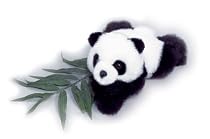 Plush Panda, Baby Bambu