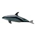 Pacific White Sided Dolphin Marine Life Toy Model