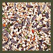 Kaylor-Made Sweet Harvest Cockatiel Food without Sunflower
