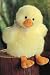 Plush Dazzy Duck 12
